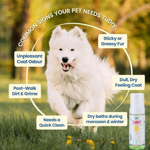 Image of TuDry 300ml | Dry Shampoo for Dogs & Cats | Anti Bacterial, Fungal Care | Lick Safe Hypoallergenic Formula | Removes Dirt & Odor | Dog Shampoo for Itchy Skin | Provides Shiny Coat