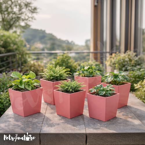 Image of POTS4NATURE Square Pots for Plants | Lightweight Plastic Flower Pot for Indoor & Outdoor Home /Office /Table /Garden /Balcony Decoration | Terracotta Color | 6 Inches (Pack of 6)