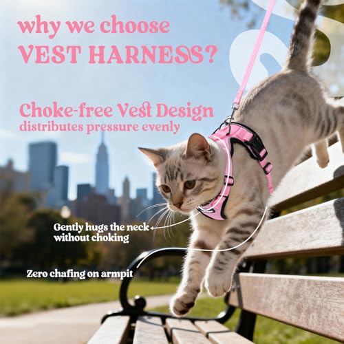 Image of rabbitgoo Cat Harness and Leash Set, Escape Proof Vest, Pink | Soft Breathable Mesh, Easy Adjustable Fit, Snap Buckles, Sturdy Clip, Reflective Strips, for Small & Average Cats Walks, Xs