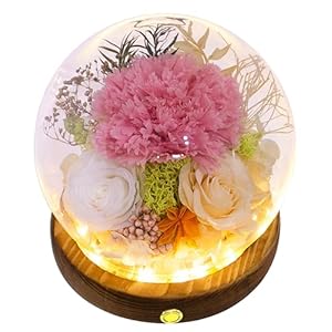 Valley of Rain Forest Long Lasting Real Flowers Unique Floral Gift for You to Send Love for All Occasions for Indoor Decoration Pink Carnation White Rose Yellow Champagne Rose