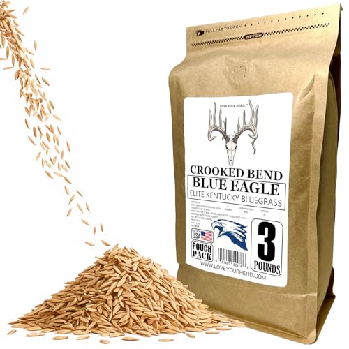 Crooked Bend Blue Eagle Kentucky Bluegrass Seed, 3LB, Uncoated & No Fill, Grow Full, Beautiful & Best Yards, Thicken Lawns & Turf, Growing Dark Green Organic Grass Carpet, Plants 580 Square feet