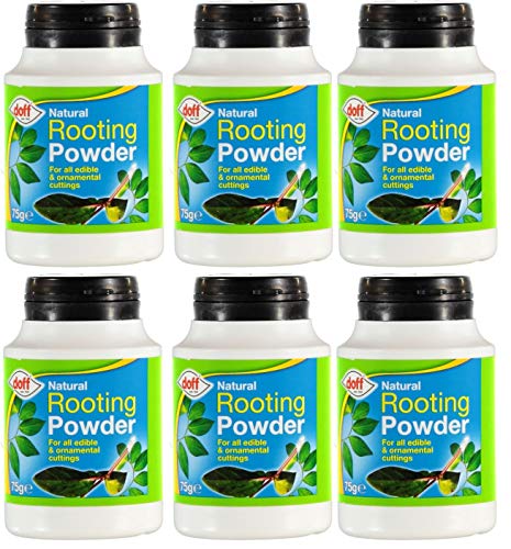 Redify Rooting Powder 6 x 75g