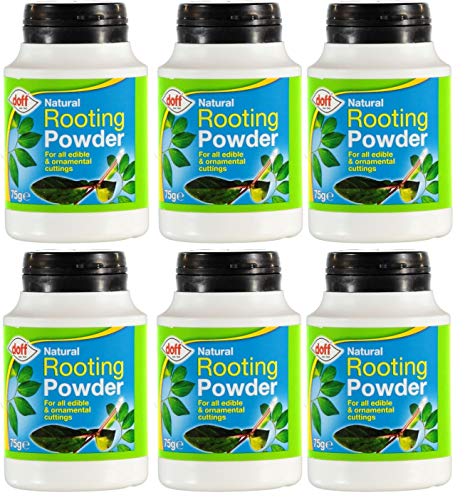 6 X Doff 75g Natural Hormone Rooting Powder