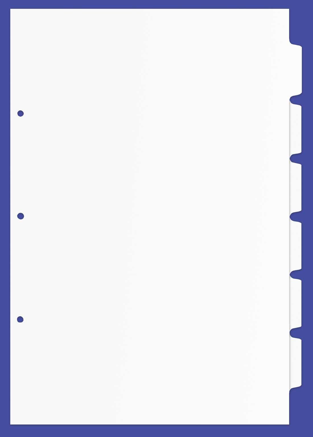 17x11 White 6 Tabbed Dividers (48 per Package)