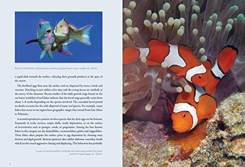 A Field Guide To Tropical Reef Fishes Of The Indo-Pacific: Covers 1,670 Species In Australia, Indonesia, Malaysia, Vietnam And The Philippines (With 2,000 Illustrations) #TOP6