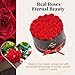 Changshunqi Forever Flowers Preserved Roses, 27 Roses Preserved Flowers in Box for Delivery Women Birthday Gifts Eternal Rose Flowers Gifts for Mom Grandma Her Wife Anniversary Mother's Day Girlfriend