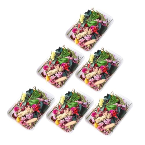 6 cajas flores secas naturales para decoración y manualidades miniatura 1