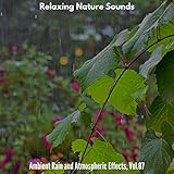 Ambient Rhythms