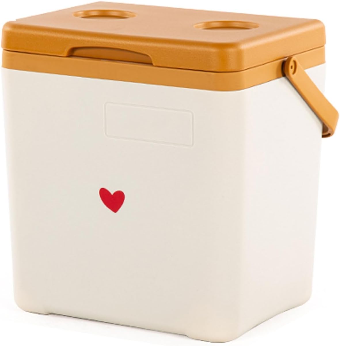 RWKLHV クーラーボックス 小型 耐摩耗性と耐衝撃性 保冷剤付きクーラーボックス 釣り 長期保存 5リットル ミニクーラーボック