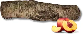 Lenha de Pêssego para Churrasco e Defumação, 8 kg, Madeira Frutífera