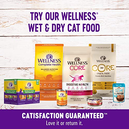Wellness Crunchy Kittles Cat Treat Variety Pack: Grain-Free, Made With Natural Ingredients And Real Protein (Chicken, Salmon, Tuna Varieties) #TOP7