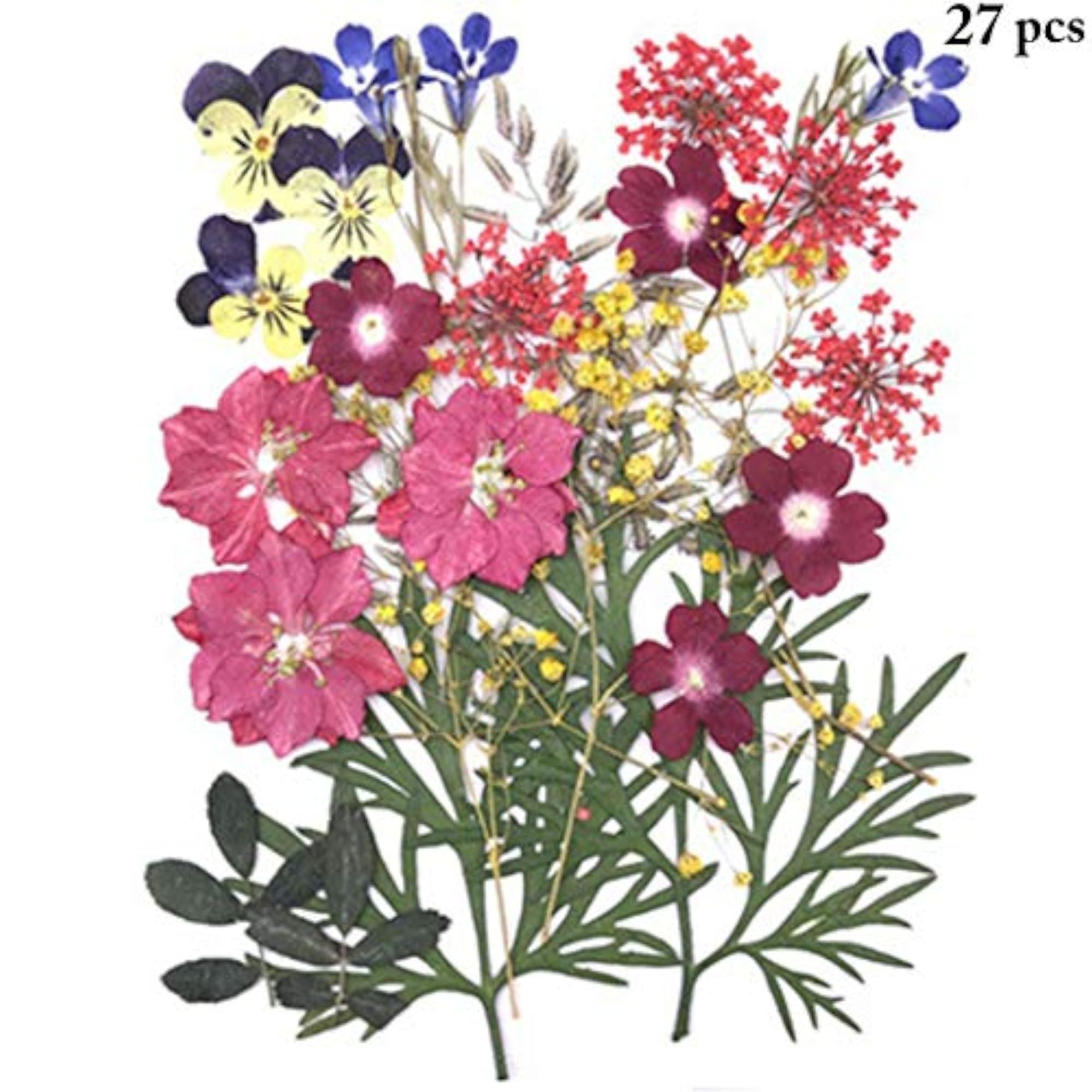 Dried Craft Flowers Multipurpose DIY Kit