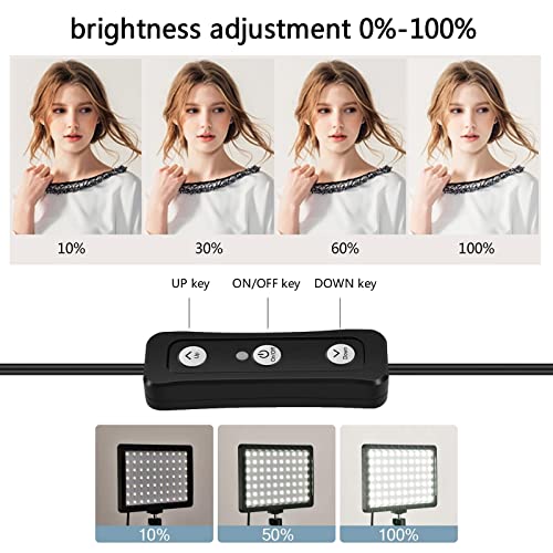 Image of 2-Pack LED Studio Streaming Lights, Portable Video Lighting for Video Recording Filming Camera Photo Photography Conference Game YouTube TikTok Shooting with Adjustable Tripod Stand & Color Filters