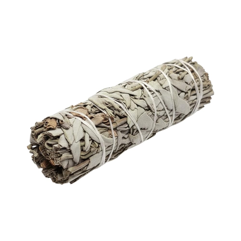 Sage Smudge Sticks, White Sage 6" (Pack of 1)