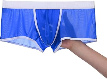 JINSHI Mens Bulge Pouch Underwear Sexy Silk Sheer Underwear for Men Ultra Thin Dual Pouch Male Panties M L XL 2XL 3XL