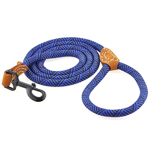 Mile High Life | Mountain Climbing Dog Rope Leash With Heavy Duty Metal Sturdy Clasp | Genuine Leather Tailored Connection With Strong Stitches (Blue, 48 Inch (Pack Of 1)) #TOP6