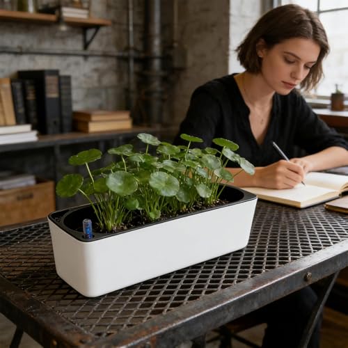 Pot de fleurs à auto-arrosage idéal pour salon et terrasse
