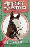 Stormchaser and the Silver Mist (The Pony Detectives Book 6) (English Edition)