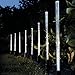 Produktbild Demiawaking 8X Led Kristall Blase Solar betriebene Lampen Garten Stick Lichter Border Path