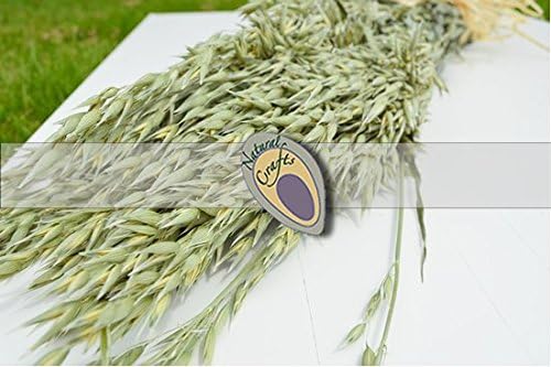 Dried Oat bunch