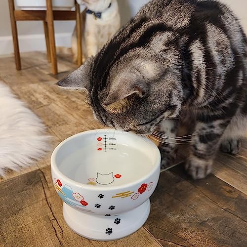 Necoichi Raised Cat Water Bowl, Elevated, with Measurement Lines, Dishwasher and Microwave Safe, No.1 Seller in Japan! (Fuji Limited Edition, Regular) - Thumbnail 4