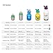 Klean Kanteen Kid Classic Sippy Stainless Steel Single Wall Non-Insulated Water Bottle with Sippy Cap, 12 Ounce (1 Count), Sugarplum Fairy
