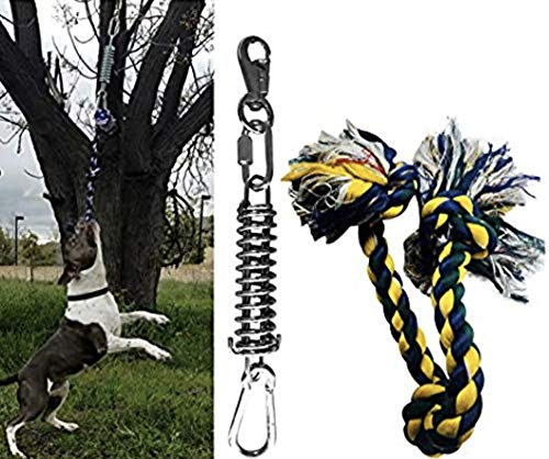 Tree tug for dogs Clearance