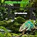 Fenocran Automatic Reptile Mister System, Reptile Humidifiers Smart Misting System, Chameleon Mister Automatic (3 watts)