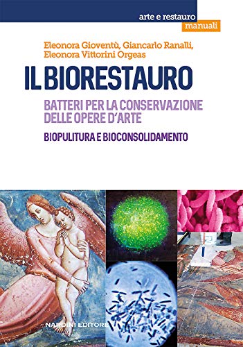 Télécharger Il biorestauro. Batteri per la conservazione delle opere d'arte. Biopulitura e bioconsolidamento PDF
