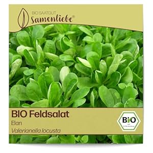 Samenliebe Elan Bio-Feldsalat Saatgut 1,5g