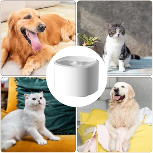 Fuente de agua automática para gatos y perros 3L USB miniatura 4