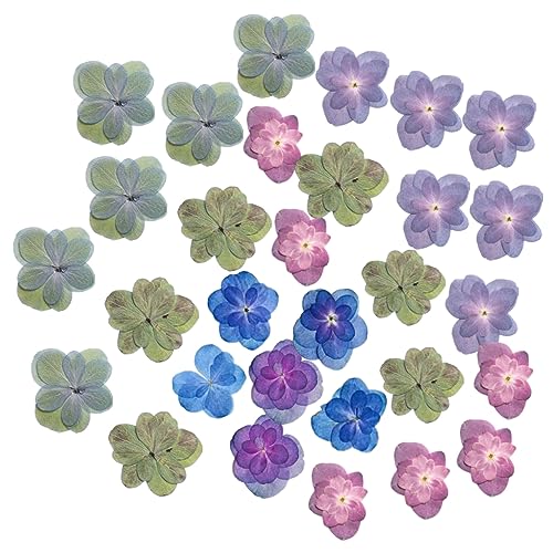 Flores Secas Prensadas para Manualidades DIY 30 piezas miniatura 1