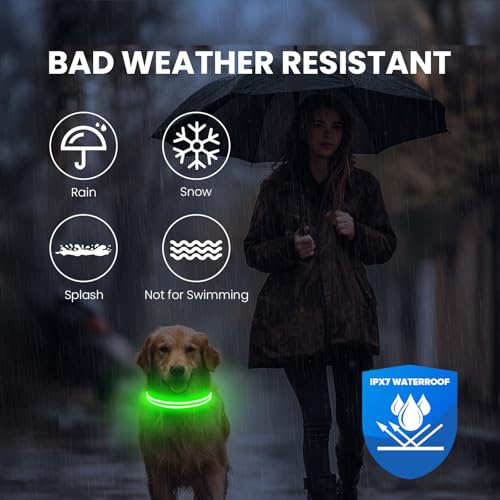 Feycig Leuchthalsband Hund USB Aufladbar - LED Hundehalsband Leuchtend Wasserdicht Leuchtendes Hunde Halsband Einstellbare für Kleine Mittlere Große Hunde, 3 Modi