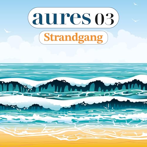 Insel F&ouml;hr - Strandgang