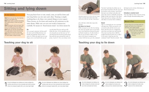 New Dog: Choosing Wisely and Ensuring a Happy Ever After