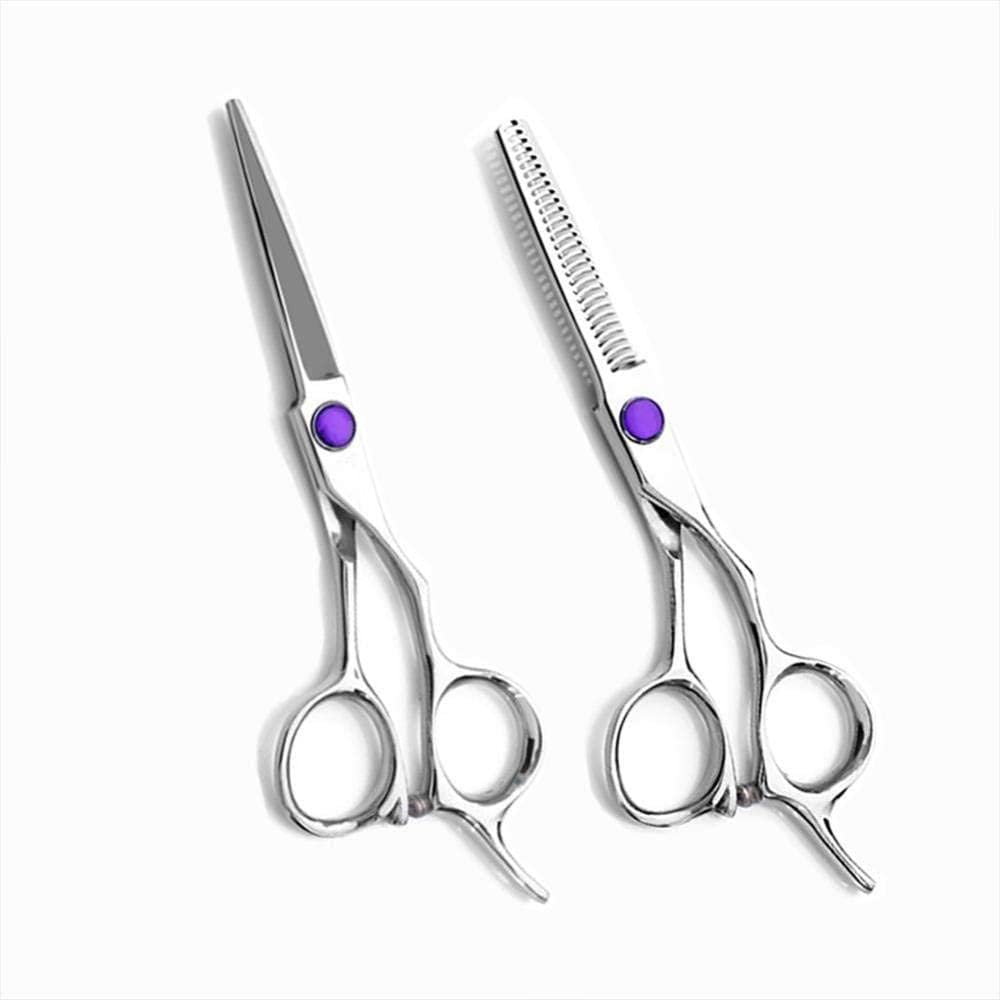 Set Forbici Da Parrucchiere Con Delicato Manico A Drago 15 Cm Argento-5,5" Barbieri Da Salone O Per Uso Domestico (5.5in)