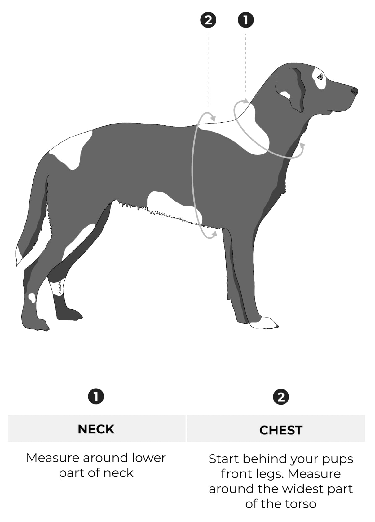 Pupsta fully adjustable Extra Large dog harness, Black & White Sticks, XL - Image 4