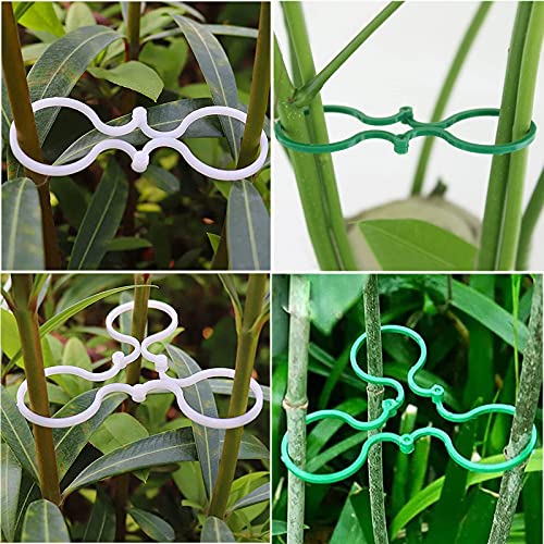 200 Clip Per Piante Da Giardino – Supporto Per Pomodori E Rampicanti, Riutilizzabili E Facili Da Installare