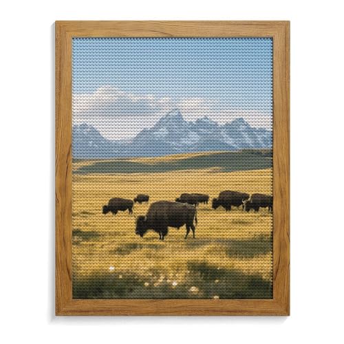 Kit broderie diamant 5D complet motif Teton Prairie idée cadeau créatif