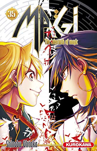 Magi - The Labyrinth of Magic — Tome 35
