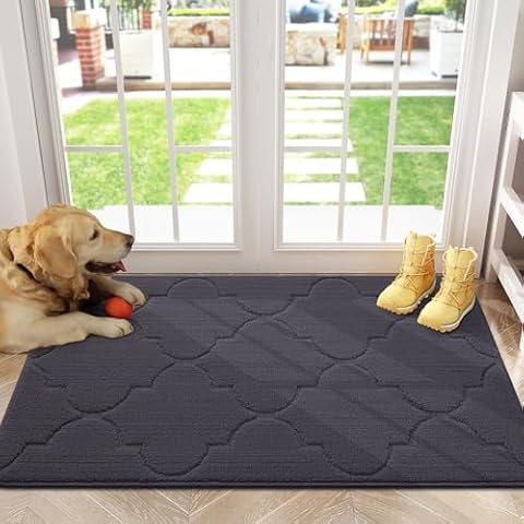 Arotive Door Mat, Indoor Mat, Non-Slip, Dirt Resist, Absorbent Entryway Doormat, Low-Profile Inside Front Doormats for Entrance (32x20 inches, Dark Grey) Cover