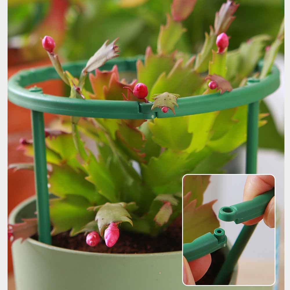 *YUYU・植物とアート♡*専用 Amazon | YUWENW 園芸 柱 40本20セット T形 連結式の花ささえ