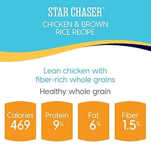 Solid Gold Canned Dog Food for Adult & Senior Dogs - Made with Real Chicken and Whole Grains - Star Chaser High Calorie Wet Dog Food for Healthy Digestion and Immune Support… Solid Gold Canned Dog Food for Adult & Senior Dogs – Made with Real Chicken and Whole Grains – Star Chaser High Calorie Wet Dog Food for Healthy Digestion and Immune Support…