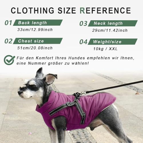 Voarge Hundejacke Winterweste Jacken, Hundemantel mit Geschirr für Kleine Hunde Hundemantel Wasserdicht Maschinen Waschbarer Reflektierender Streifen Design Haltbarer D-Ring (Lila, M)
