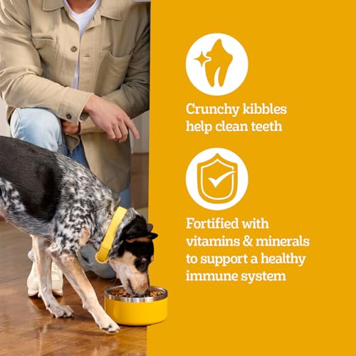 Image of Pedigree Adult Dry Dog Food, Complete Nutrition, Roasted Chicken & Vegetable Flavor, 30 lb. Bag