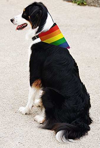 pride dog accessories