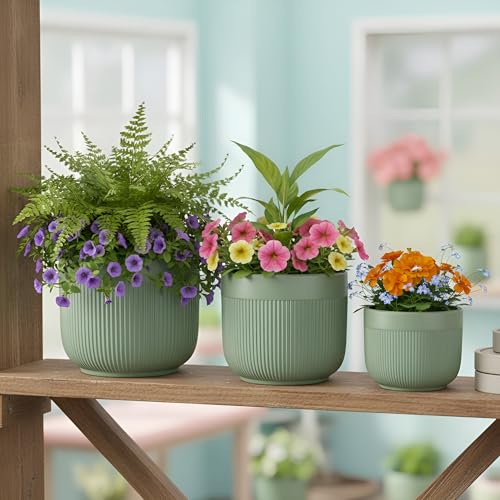 Image of Xtore Ceramic Ribbed Planter Set with Matte Finish | Modern Minimalist Flower Pots for Home, Office, Balcony & Living Room Decor - (Set of 3, Sage Green, Planter ONLY)