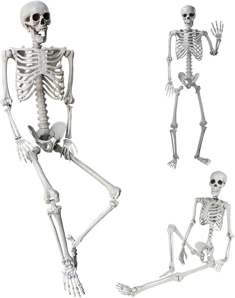 sanjianke-fs 5.4Ft/165cm Halloween Skeleton Full Body with Movable Joints for Indoor Outdoor Halloween Props Decorations