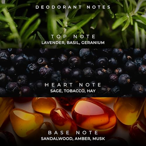 Image of French Factor Man of the Year Real Deodorant, 150ml, Body Spray for Men & Boys, Attractive Long Lasting Hours- 150ml