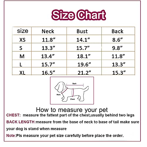 Muyaopet Funny Raccoon Dog Costume For Halloween,Thick Fleece Pet Cat Coat Jacket Winter Warm Clothes For Small Dogs (Medium, Brown) #TOP1